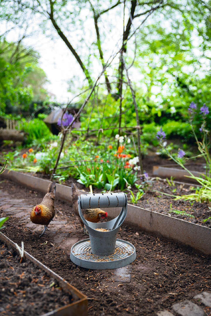 beeztees Hühner Spiel- und Snackturm